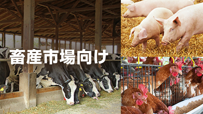 畜産市場向け製品