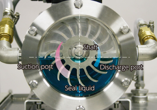 Stopped state of Liquid Ring Pump