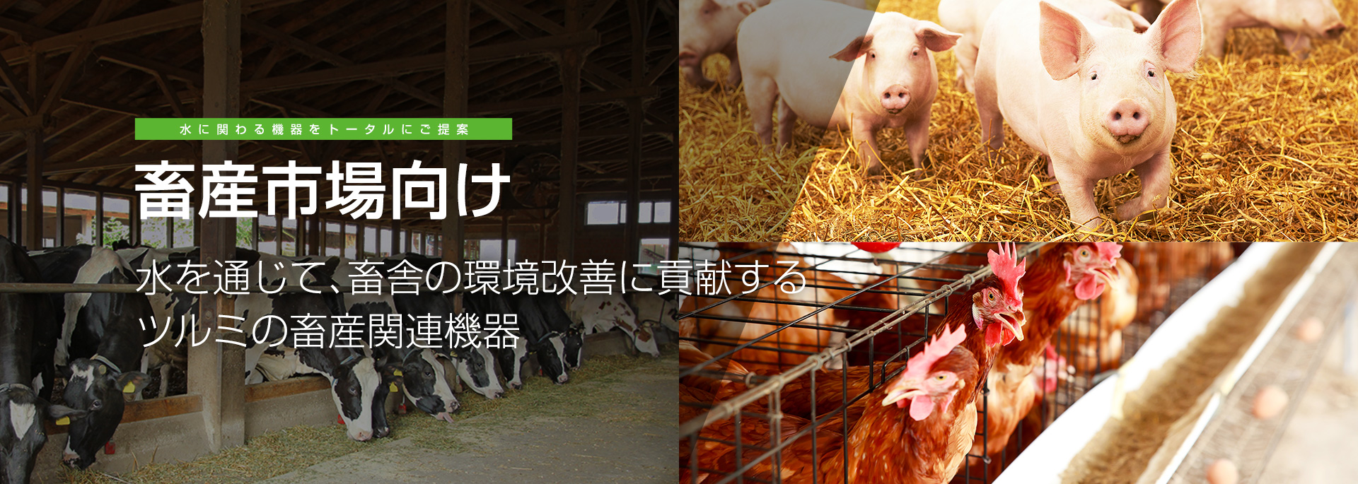 畜産向け排水・汚水処理～汚泥脱水製品｜鶴見製作所-ツルミポンプ
