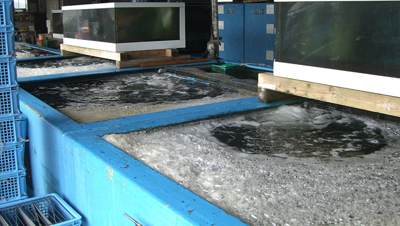 水産加工場施設