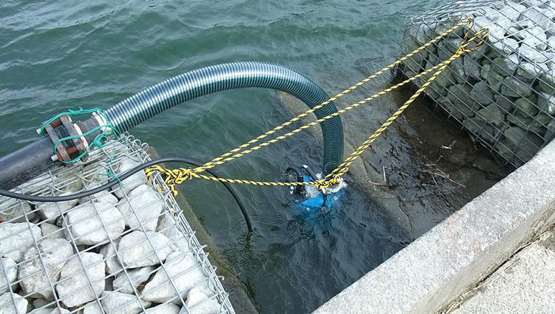 池水の取水用ポンプ