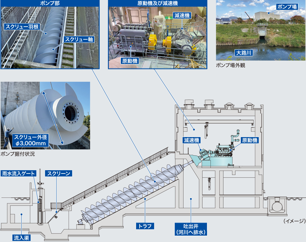 スクリューポンプAS型のポンプ部、原動機及び減速機、流入ゲート等のイメージ図