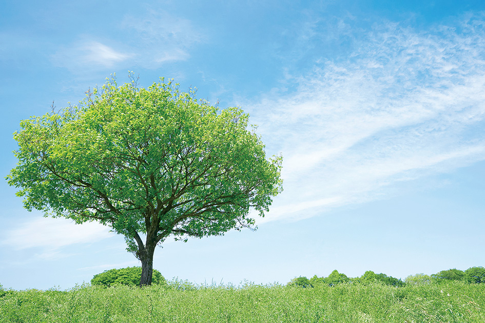 クリーンエネルギーへの転換